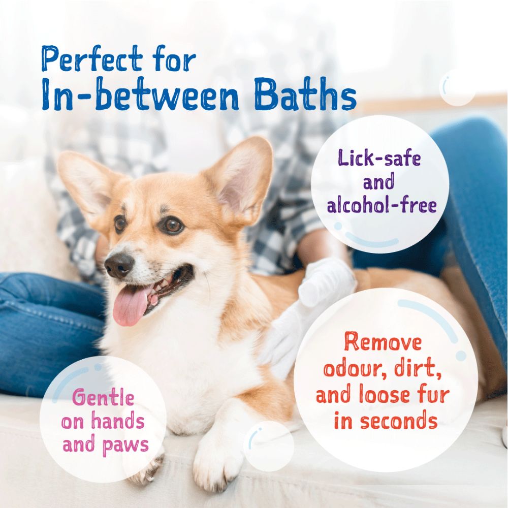 Loveabowl Dog Clean-A-Dog 10pcs Original Cica Pet Glove image 9