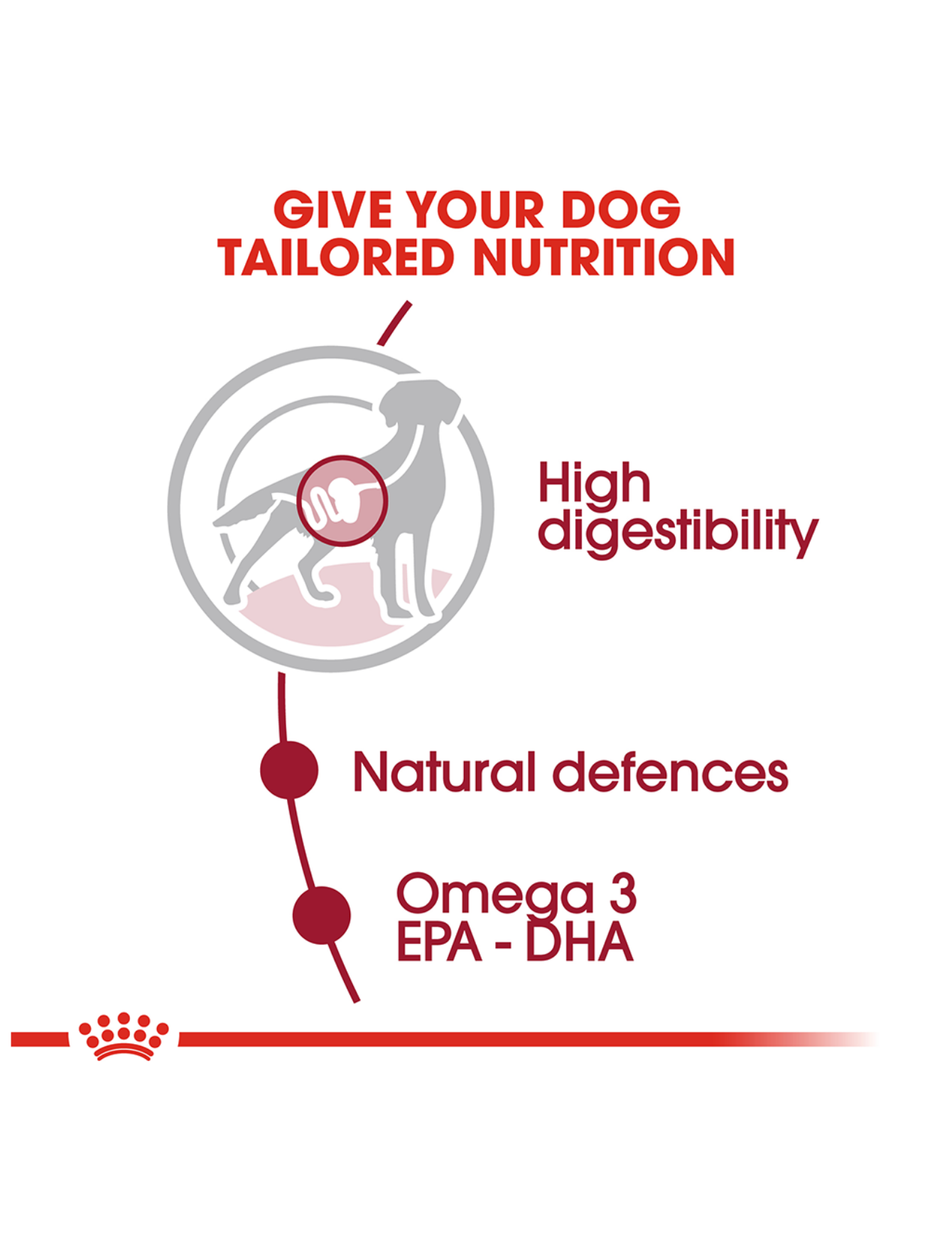 Royal Canin Dog 4kg Medium Adult Dry Dog Food image 3
