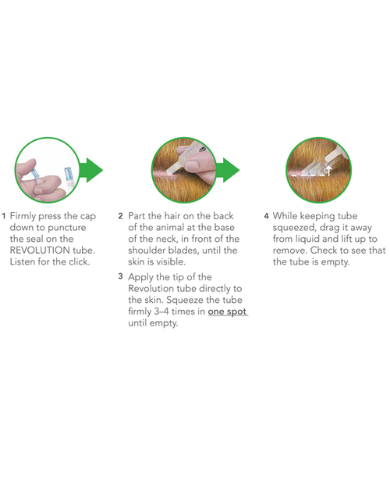 Revolution Selamactic Topical Solution for 2.6-5kg Dog 3 Single Dose Tubes image 5
