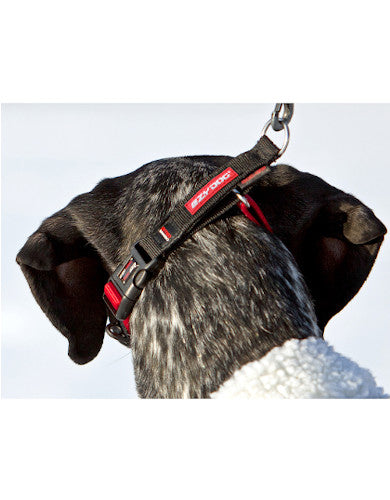 EzyDog Checkmate Collar Camouflage L image 3