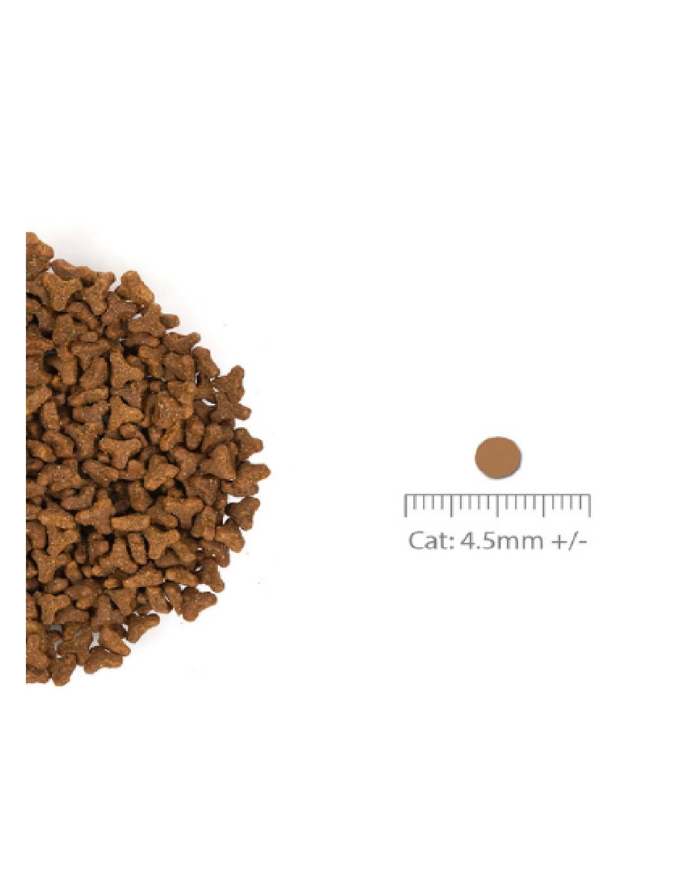 Nurture Pro Cat Nourish Life 5.7kg Slow-cooked Chicken For Kitten & Adult Cat Dry Cat Food image 3