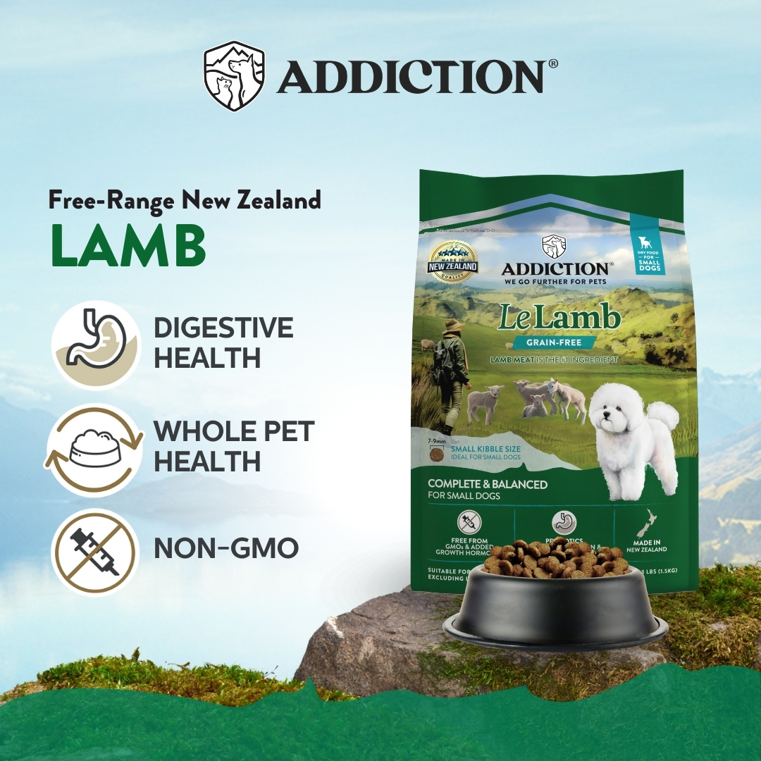 Addiction Dog 1.5kg Small Breed Le Lamb Dry Dog Food image 3