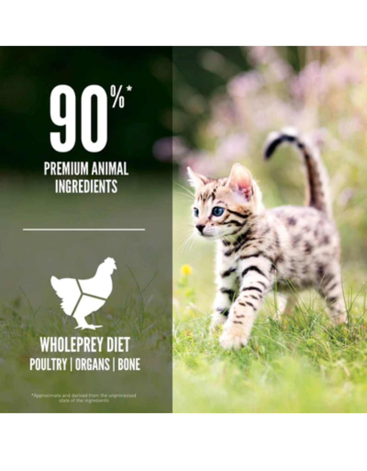 Orijen Cat 5.4kg Kitten Dry Cat Food image 3