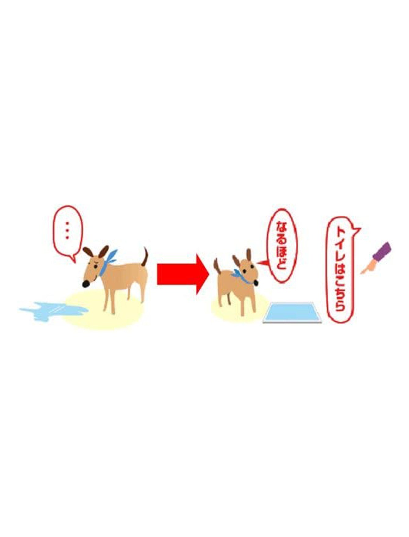 JoyPet Toilet Training Spray For Dog 100ml image 3