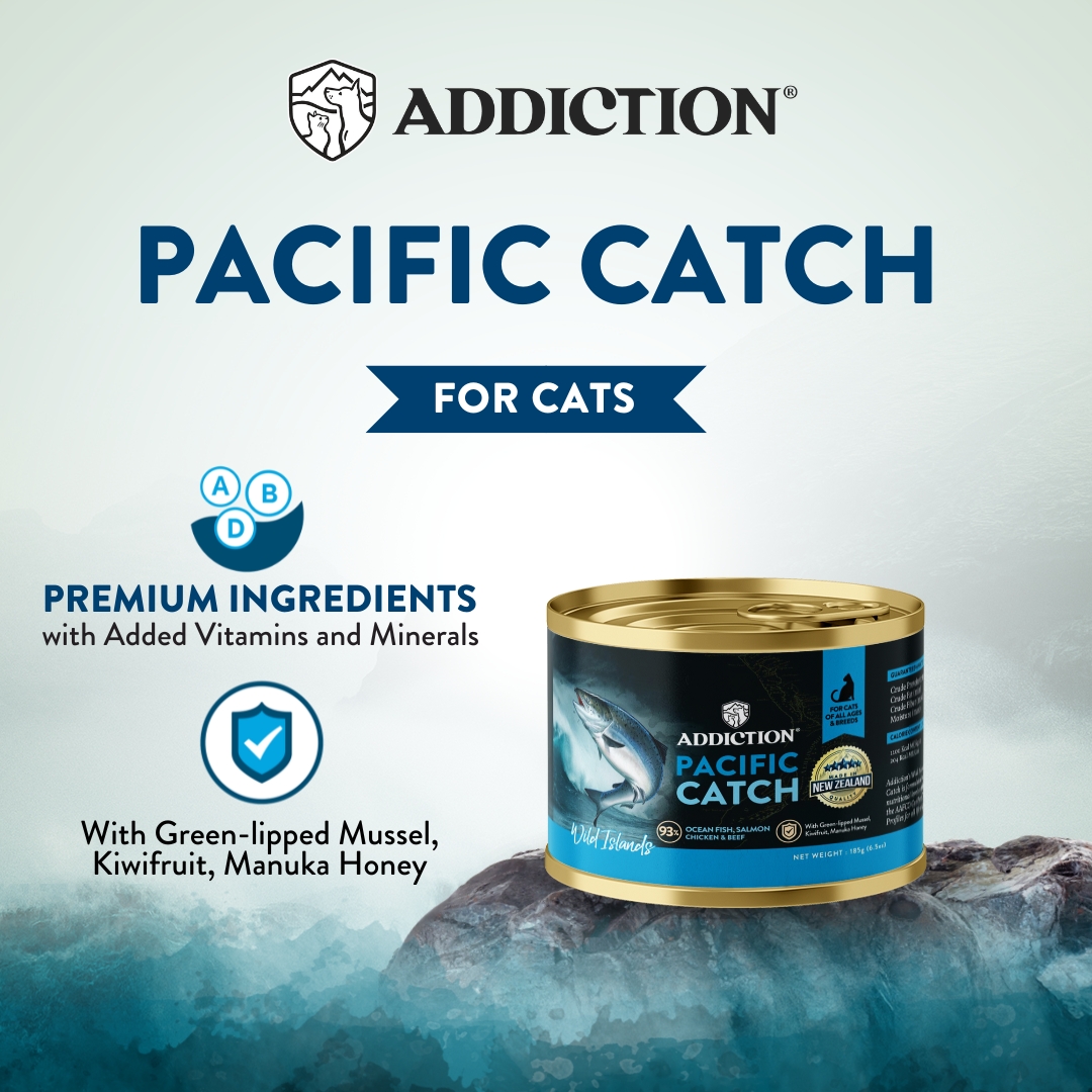 Addiction Cat Wild Islands 185g Pacific Catch Grain Free Wet Canned Cat Food image 3