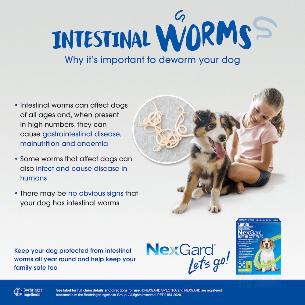 NexGard Spectra Afoxolaner 75mg Chewable Tablets for Dogs 15-30kg 3 Tablets image 8