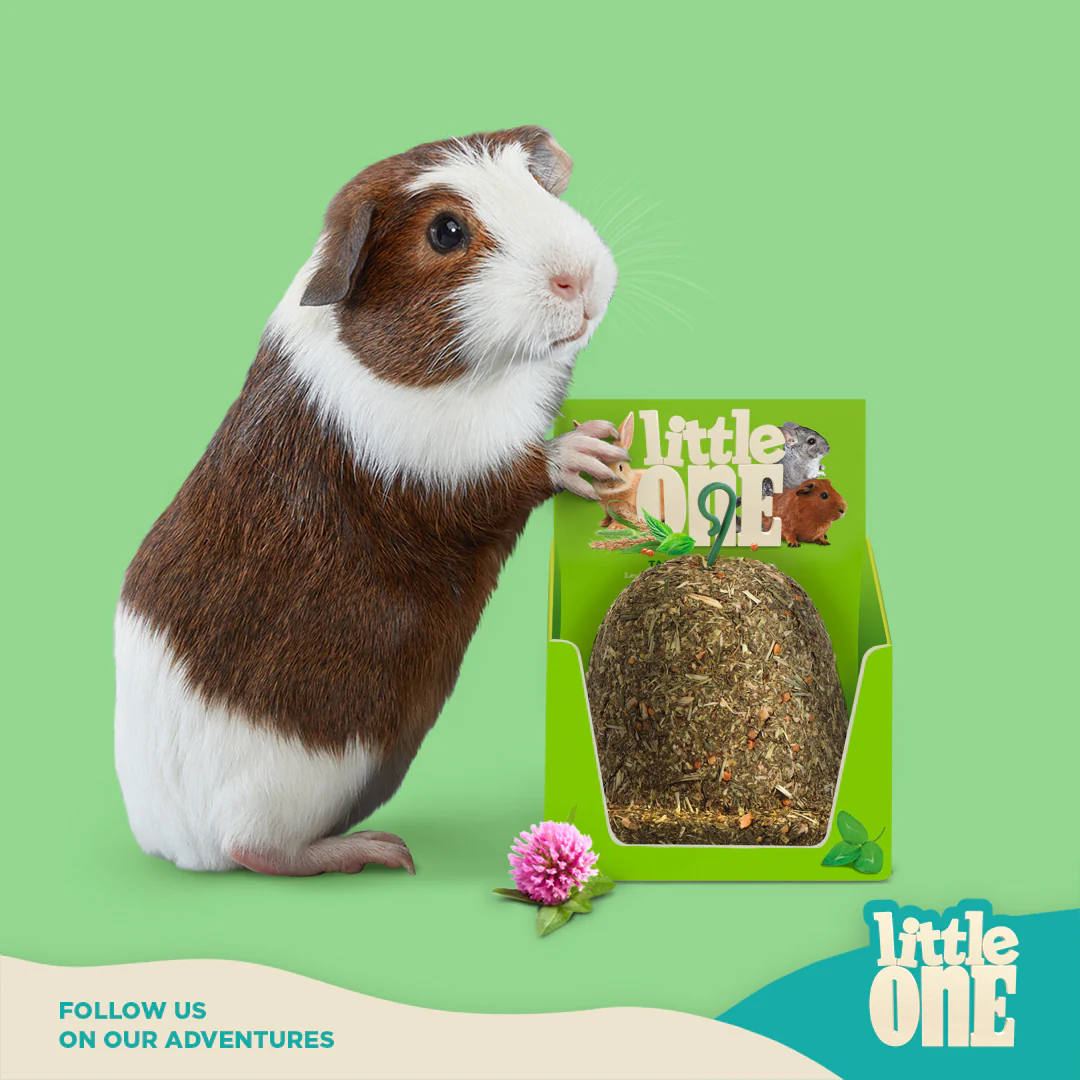 Little One Tasty Bluebell Treat-Toy for Small Mammals, 150 g image 2