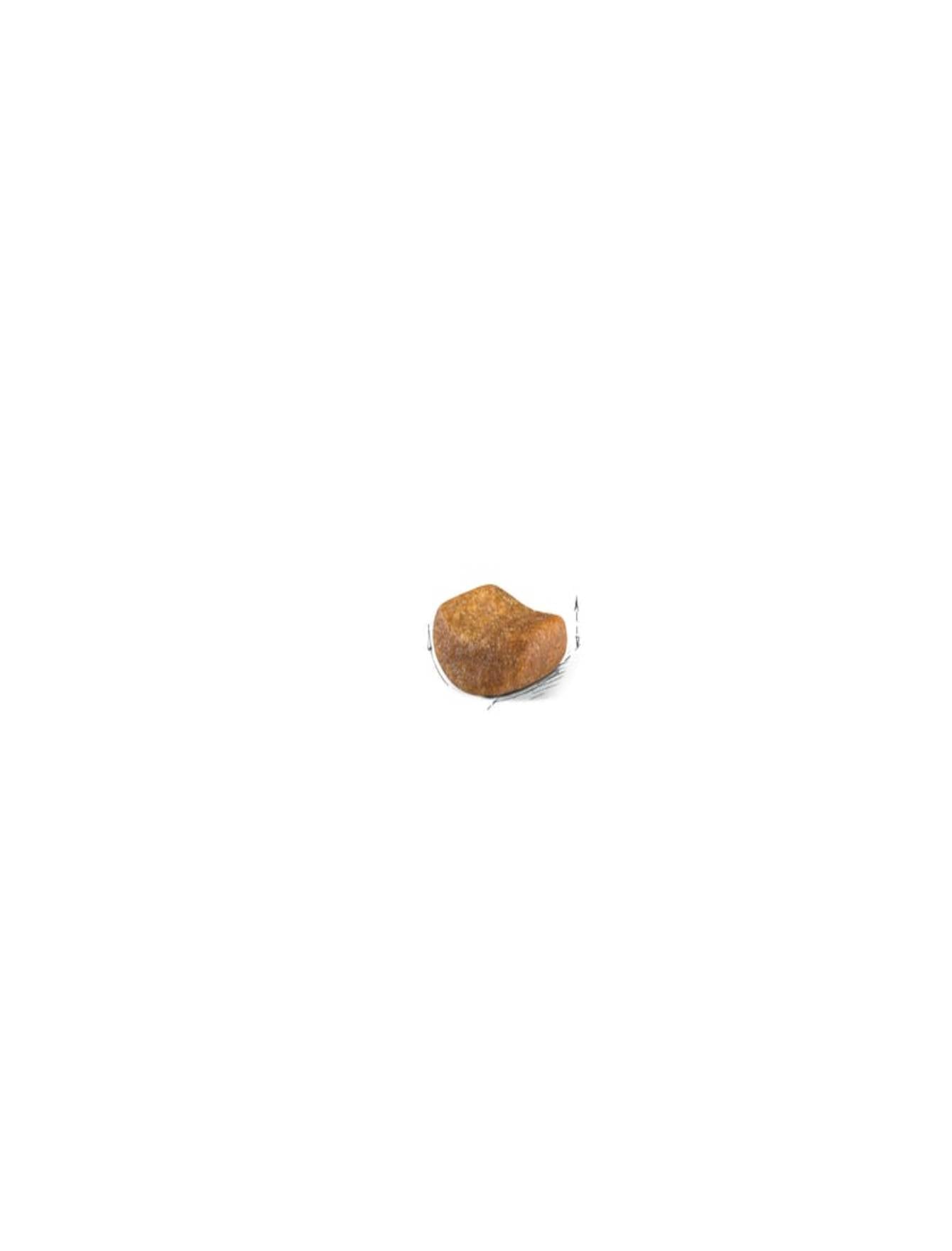 Royal Canin Cat 4kg Adult British Shorthair Dry Cat Food image 3