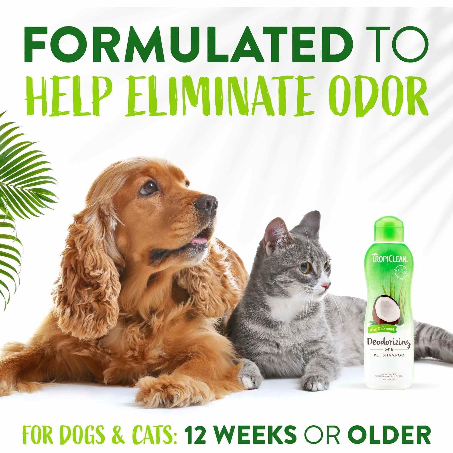 Tropiclean 1 gallon (3.78L) Aloe & Coconut Shampoo (Deodorizing) For Dogs & Cats image 5