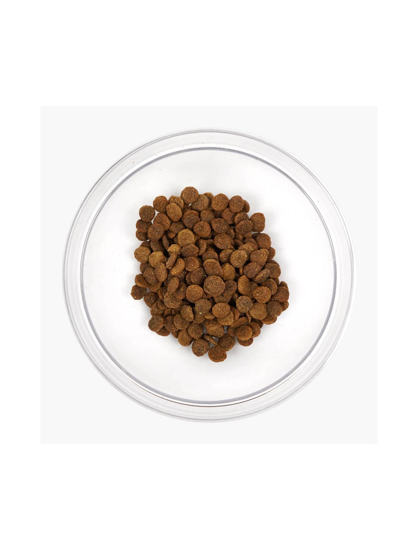 Nurture Pro Dog Nourish Life 300g Slow-cooked Chicken Puppy & Adult Dog Dry Dog Food image 5