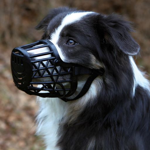 Trixie Hard Muzzle Nylon Adjustment Straps for Dogs M-L image 2