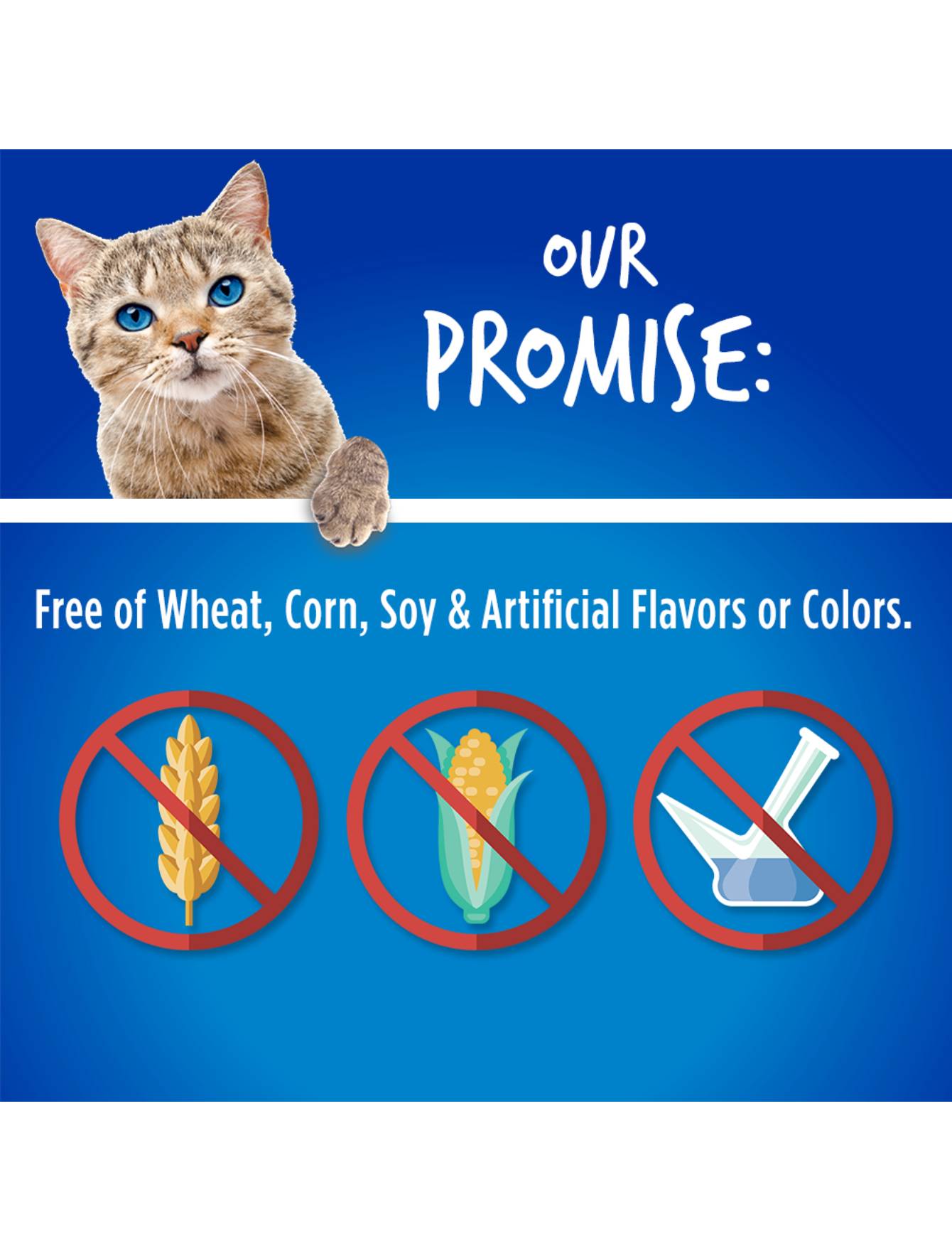 Fruitables Cat 2.5oz Chicken With Blueberry Cat Treat image 5