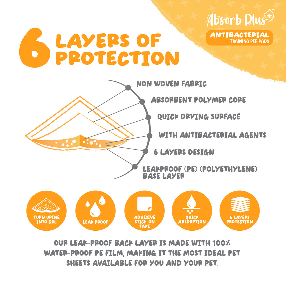 Absorb Plus 25pcs (Large) 60x90cm Antibacterial Training Pee Pad image 7