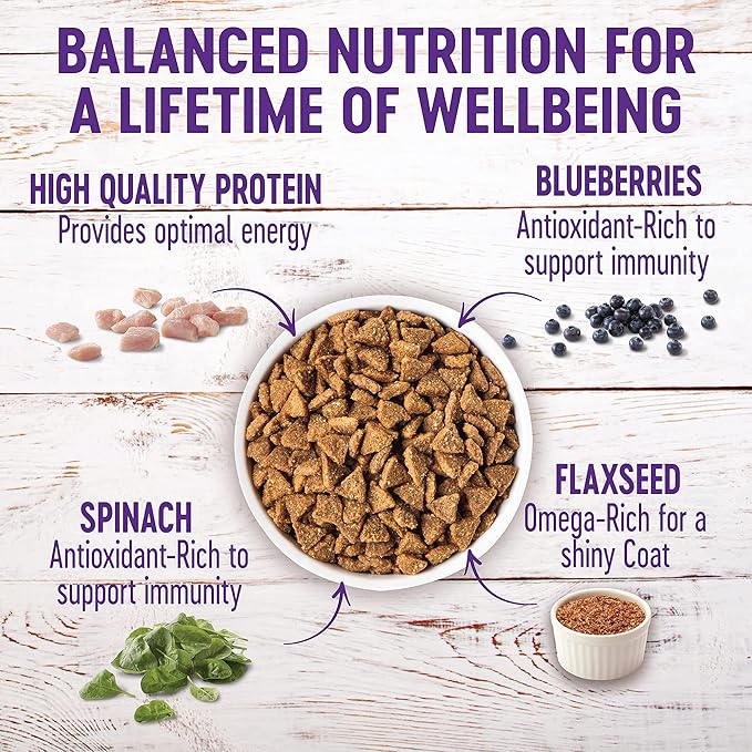 Wellness Complete Health Grain Free 4lb (1.8kg) Small Breed Deboned Turkey, Chicken Meal & Salmon Meal Dry Dog Food image 2