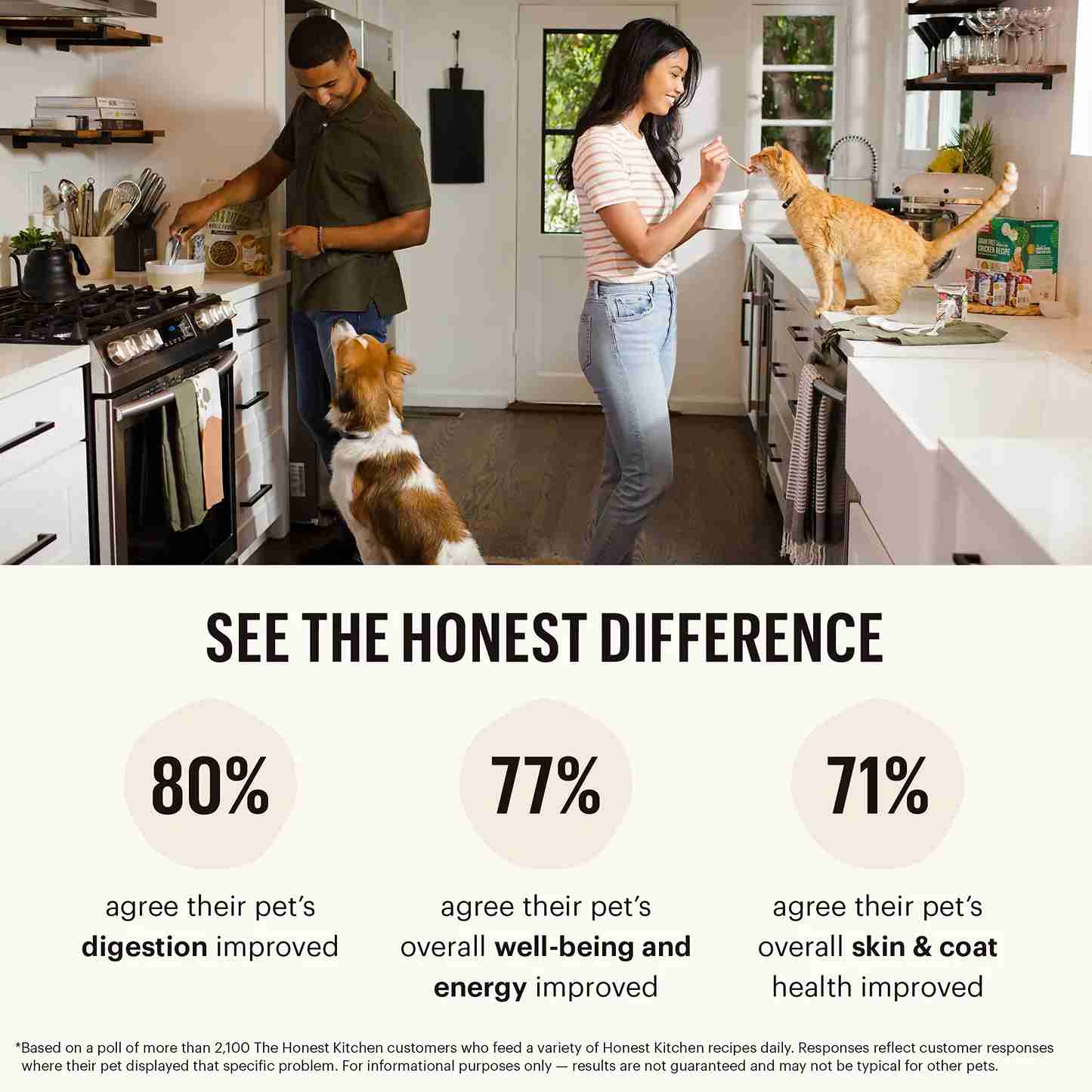 The Honest Kitchen Cat 4lbs Tasty Whole Food Clusters Chicken & Whitefish Grain Free Dry Cat Food image 7