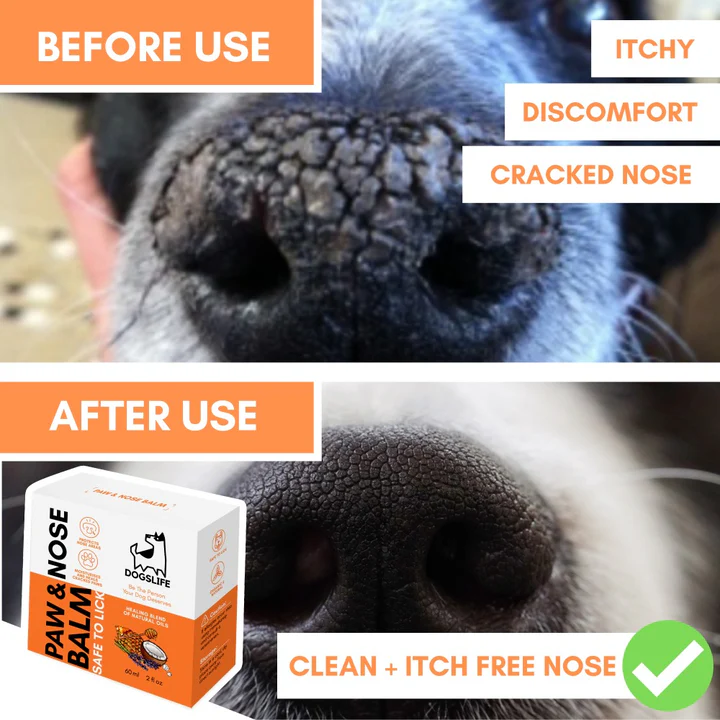 Dogslife Nose & Paw Balm & Moisturiser 60ml image 7