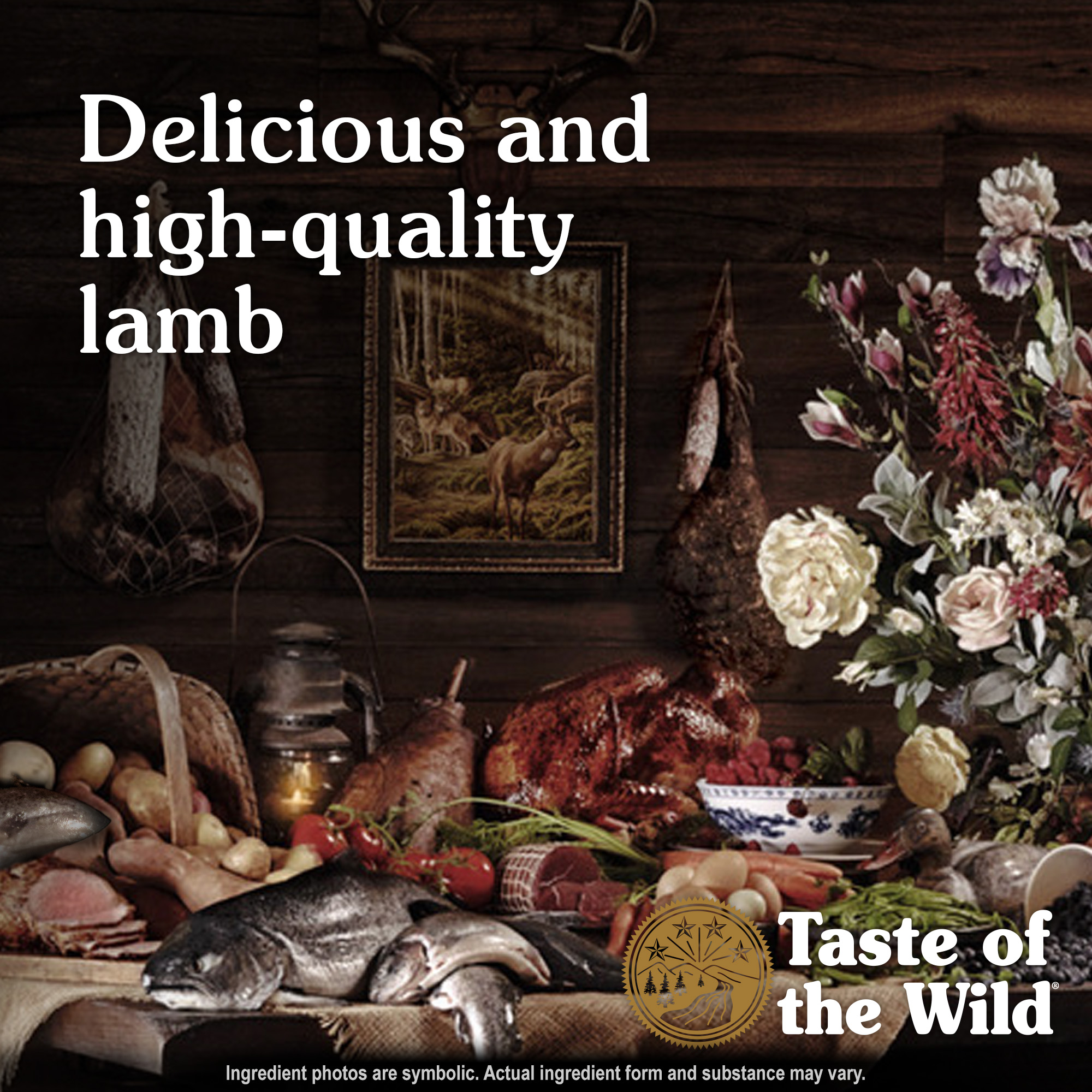 Taste of the Wild Dog 390g Sierra Mountain with Lamb in Gravy Wet Canned Food image 4