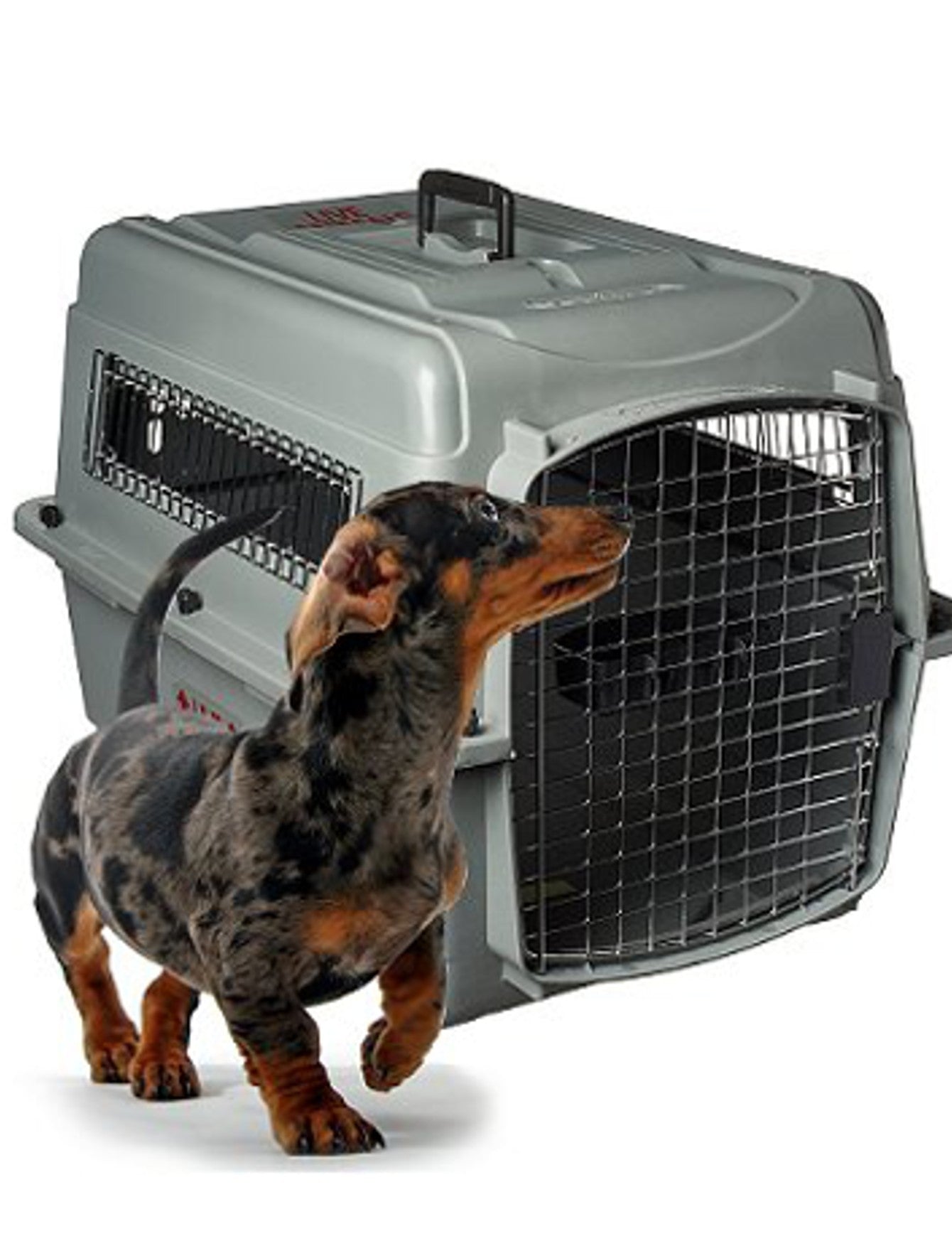 Petmate Sky Kennel Small for Pets image 5