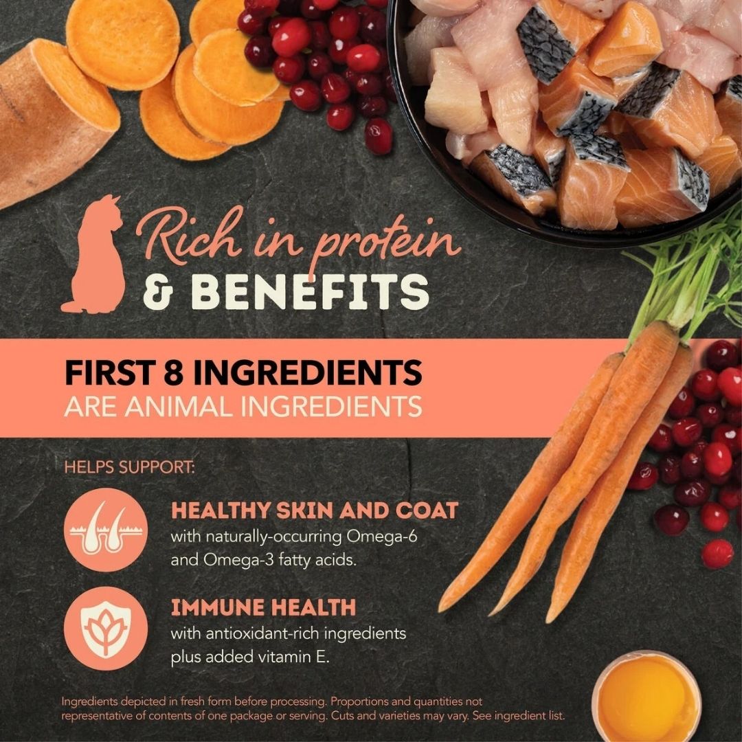 Acana Cat 155g Chunks In Broth Salmon & Chicken Recipe Wet Cat Food image 3