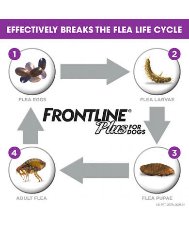 Frontline Plus Dog Spot On Large 2.68mlx3 Pipette image 6