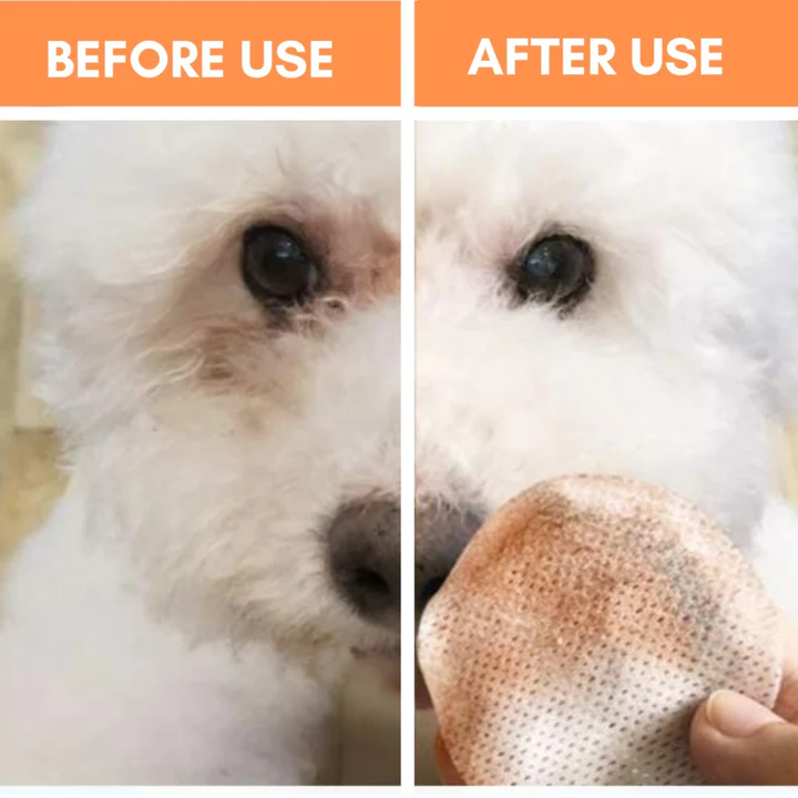 (Ex:p: Nov'24) Dogslife Ear Cleaning Wipes 50 Finger Wipes image 9