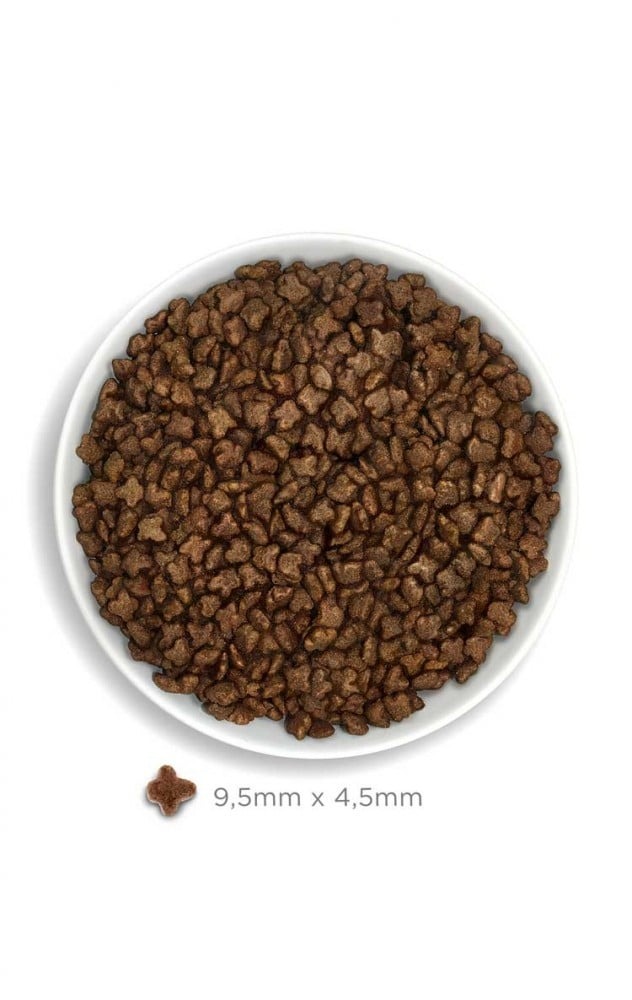 Amanova Cat 300g Kitten Exquisite Chicken Low Grain Dry Cat Food image 3