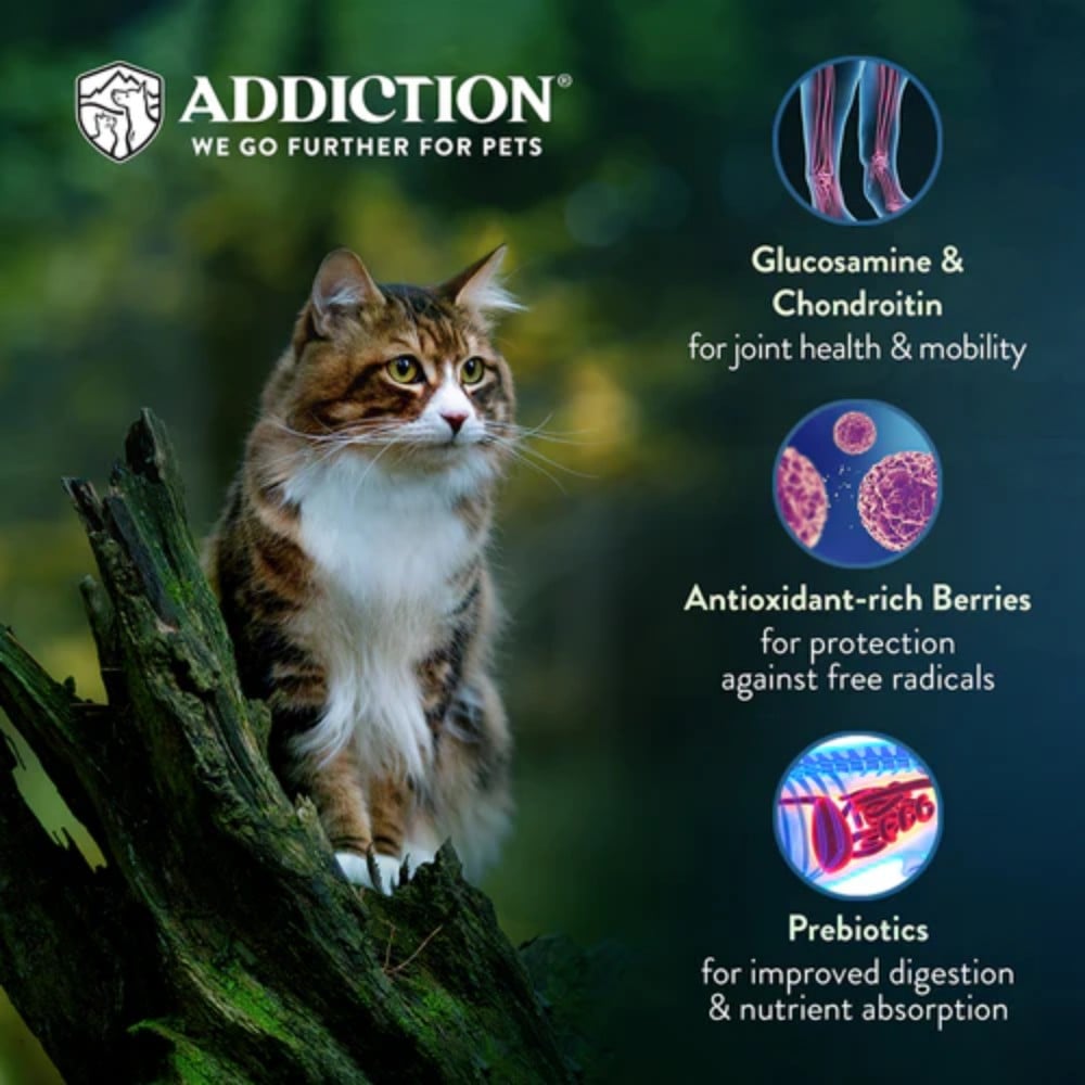Addiction Cat Food Sample 60g Grain Free Chicken Supreme image 2