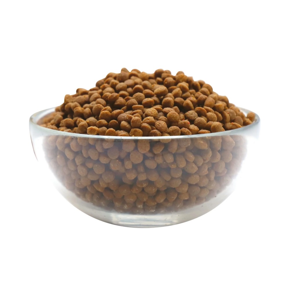 Kit Cat 1.2kg Premium Kitten & Pregnant Dry Cat Food image 2
