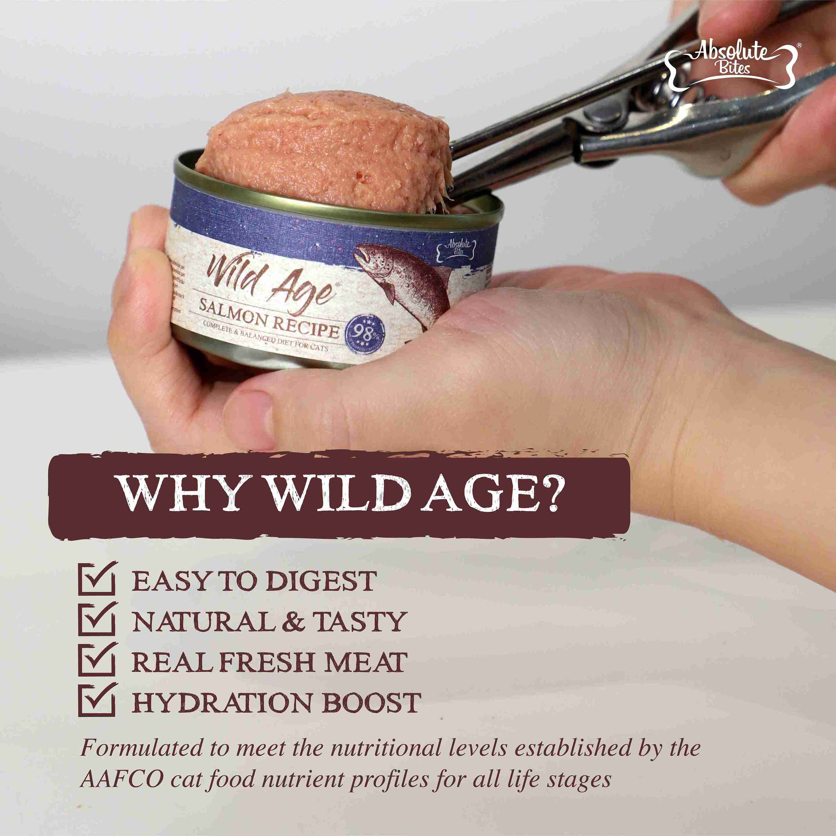 Absolute Bites Wild Age Cat 80g Complete & Balanced Diet Salmon Canned Wet Cat Food image 6