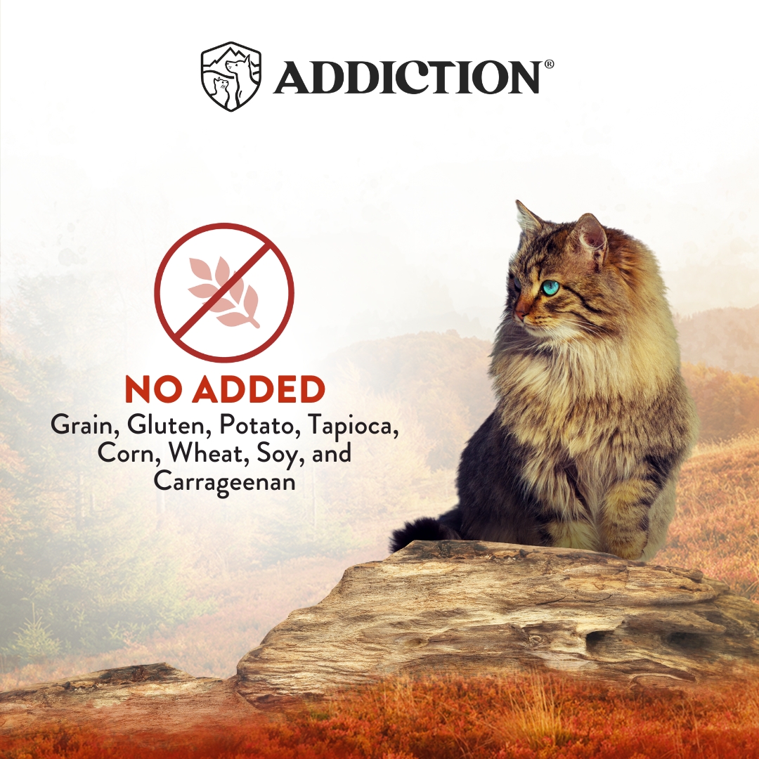 Addiction Cat Wild Islands 185g Forest Meat Grain Free Wet Canned Cat Food image 4