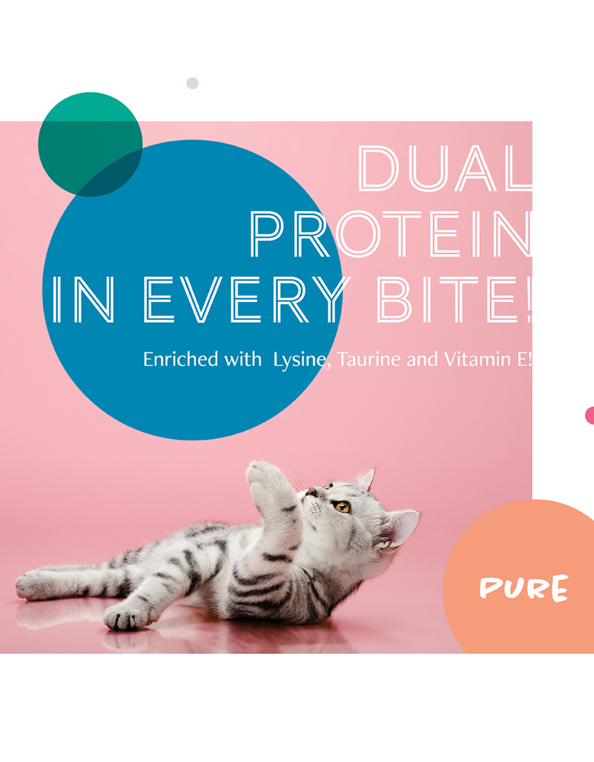 Daily Delight Cat Pure 80g Skipjack Tuna White & Chicken with Sea Bream Wet Cat Food image 3