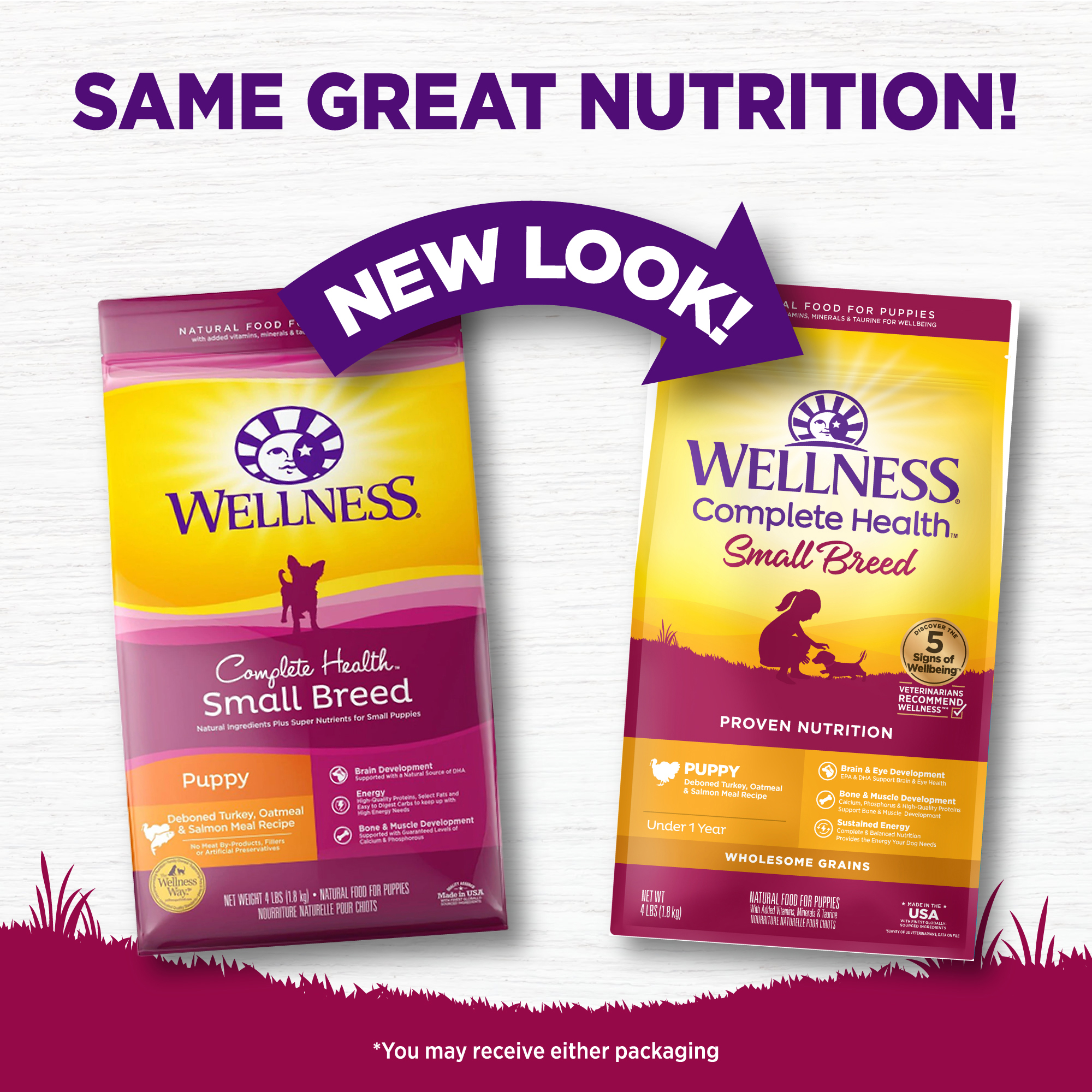 Wellness Complete Health 4lb (1.8kg) Small Breed Puppy Deboned Turkey, Oatmeal & Salmon Dry Dog Food image 4