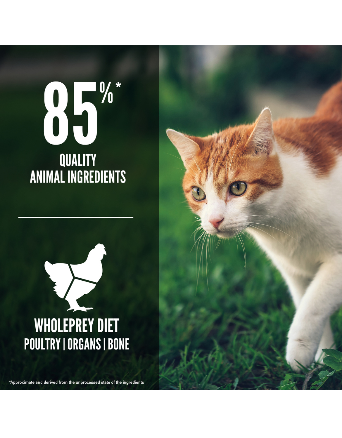 Orijen Cat 340g Fit & Trim Dry Cat Food image 3
