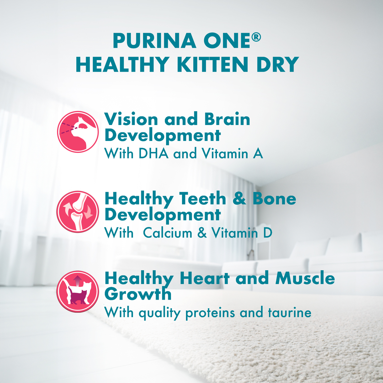 PURINA ONE Cat 380g Healthy Kitten with Chicken Dry Cat Food image 2