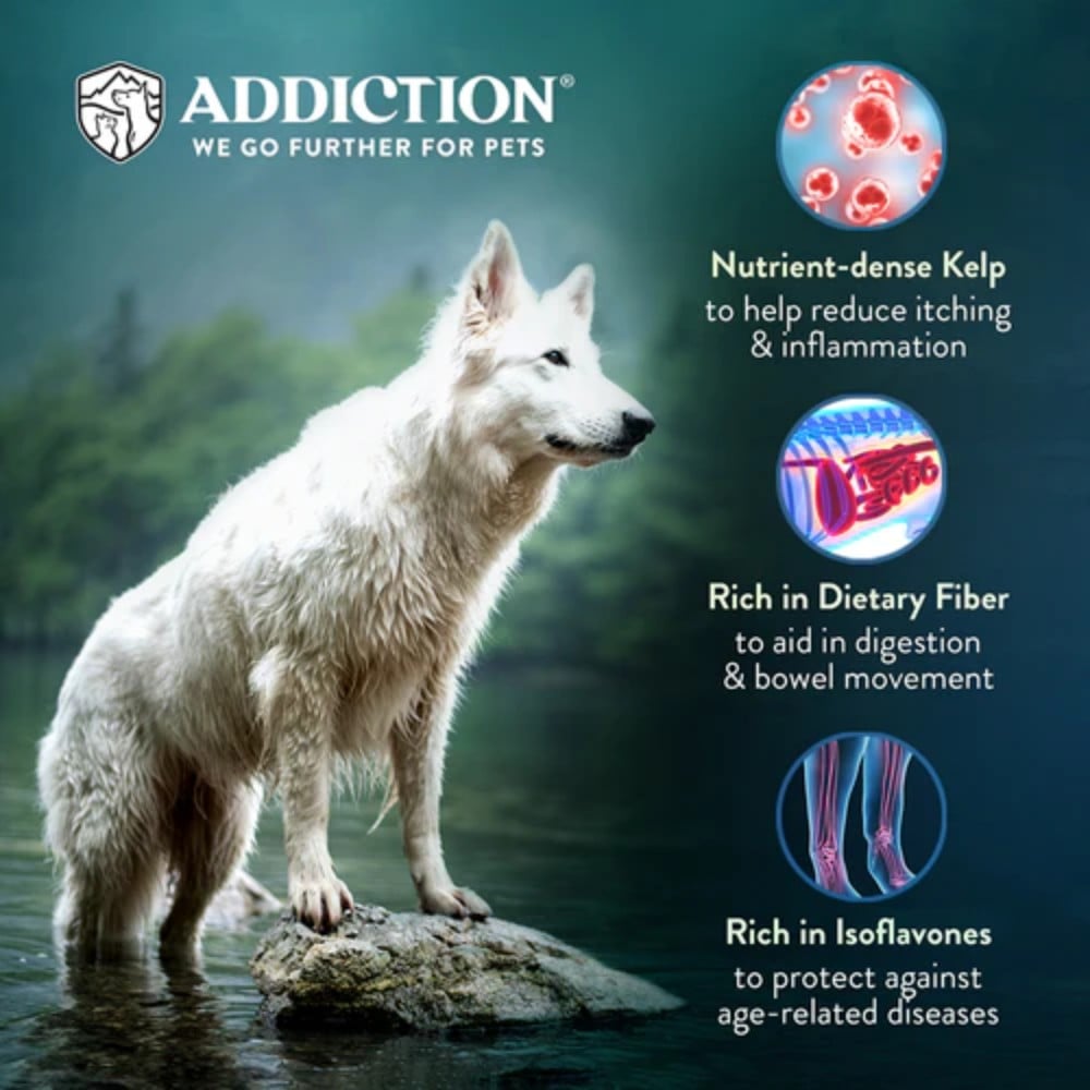 Addiction Dog 60g Zen Vegetarian Dry Dog Food (Sample) image 4