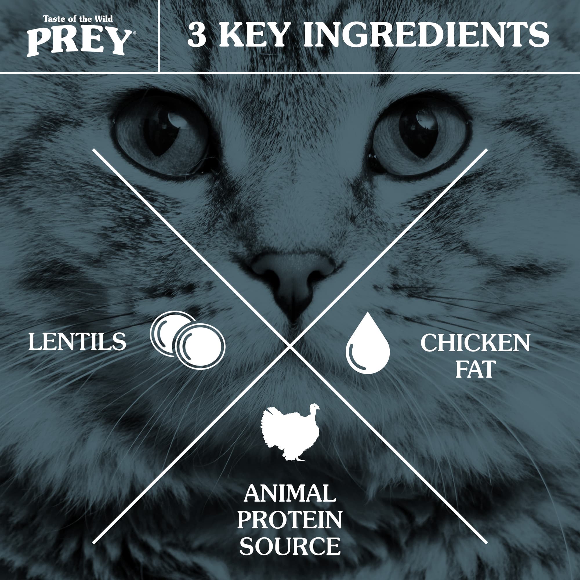 Taste of the Wild Cat 6.8kg/15lbs Prey Angus Beef Dry Cat Food image 4