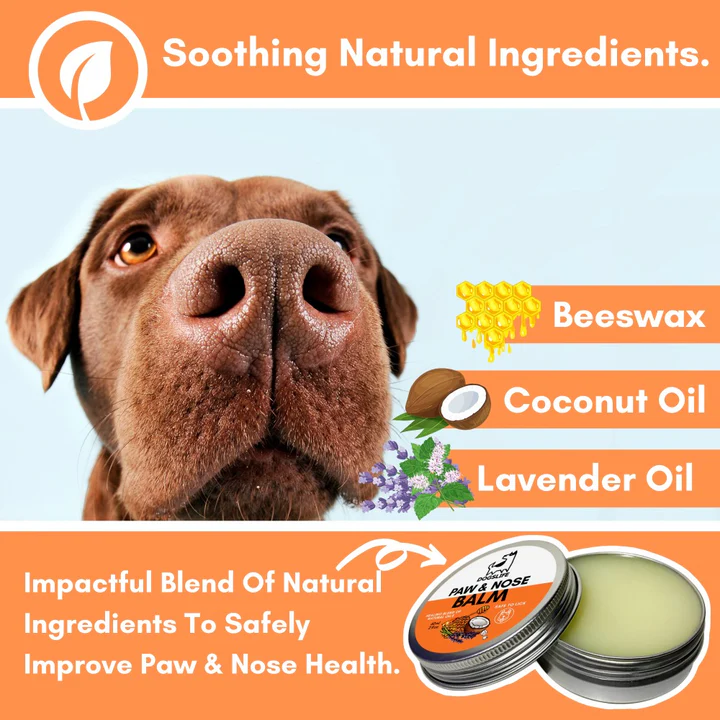Dogslife Nose & Paw Balm & Moisturiser 60ml image 6
