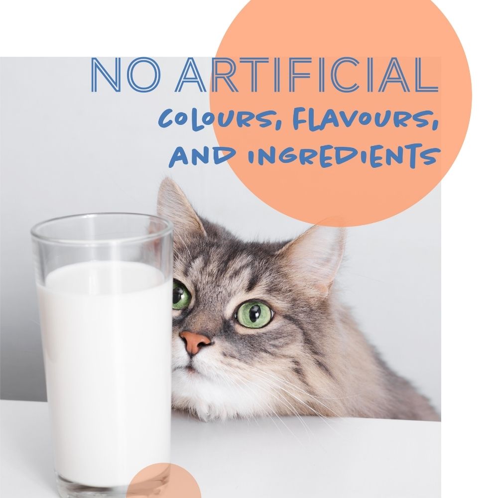 Daily Delight 1L Moo Milk for Pets image 6