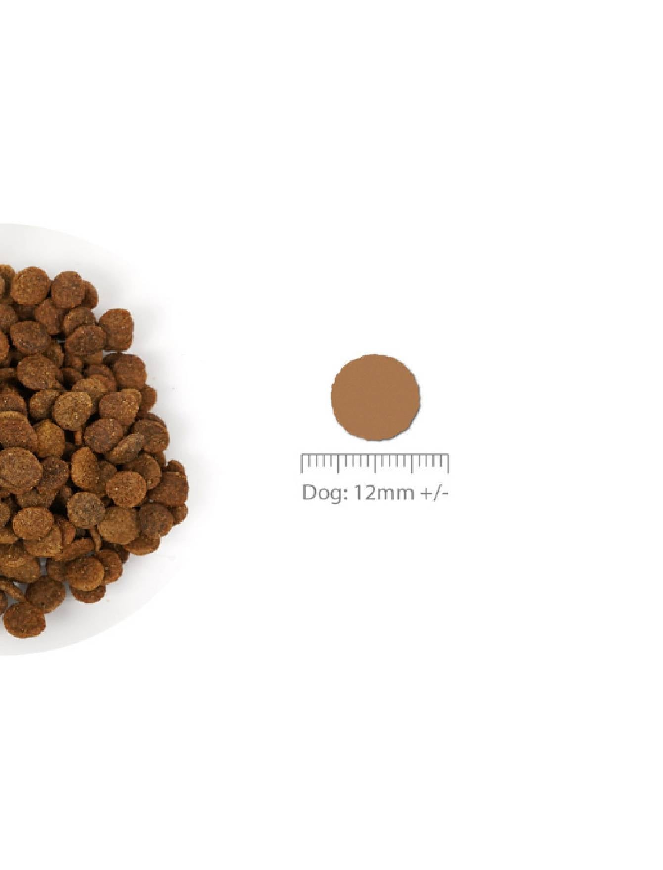 Nurture Pro Dog Nourish Life 300g Slow-cooked Lamb For Adult Dog Dry Dog Food image 4