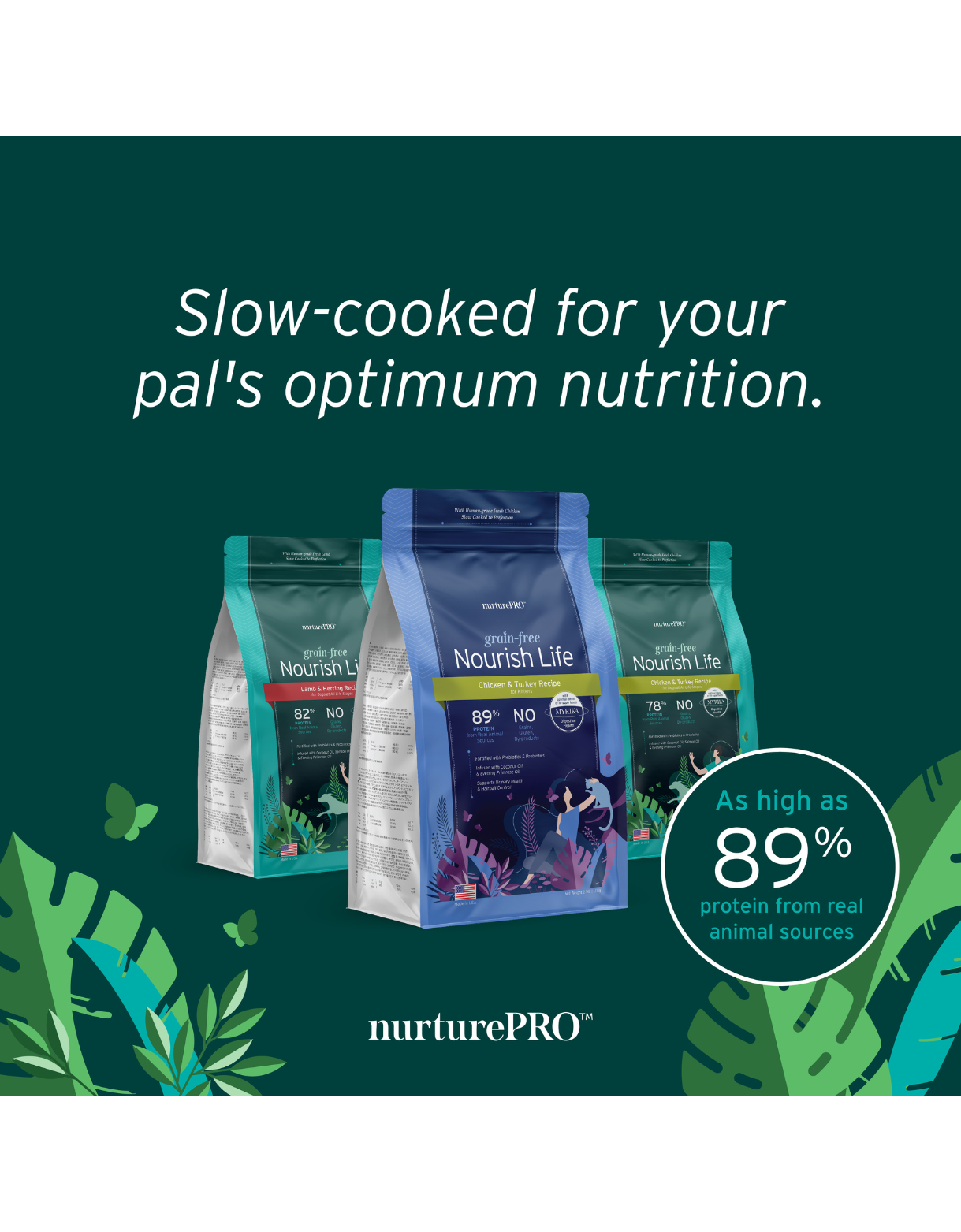 Nurture Pro Cat Nourish Life Grain-Free 227g Chicken & Turkey For Kittens Dry Cat Food image 6