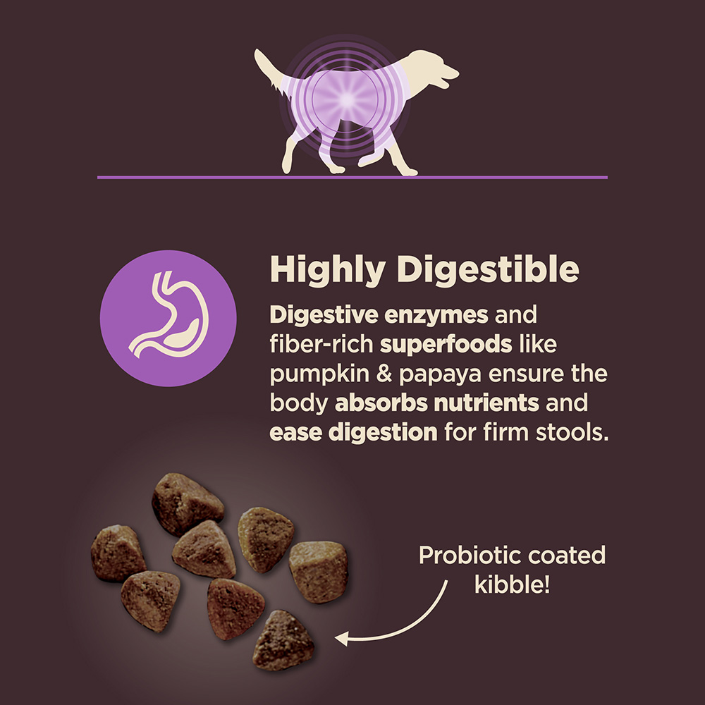 Wellness CORE Dog 10.9kg (24lb) Digestive Health Age Advantage Chicken & Brown Rice Dry Dog Food image 3