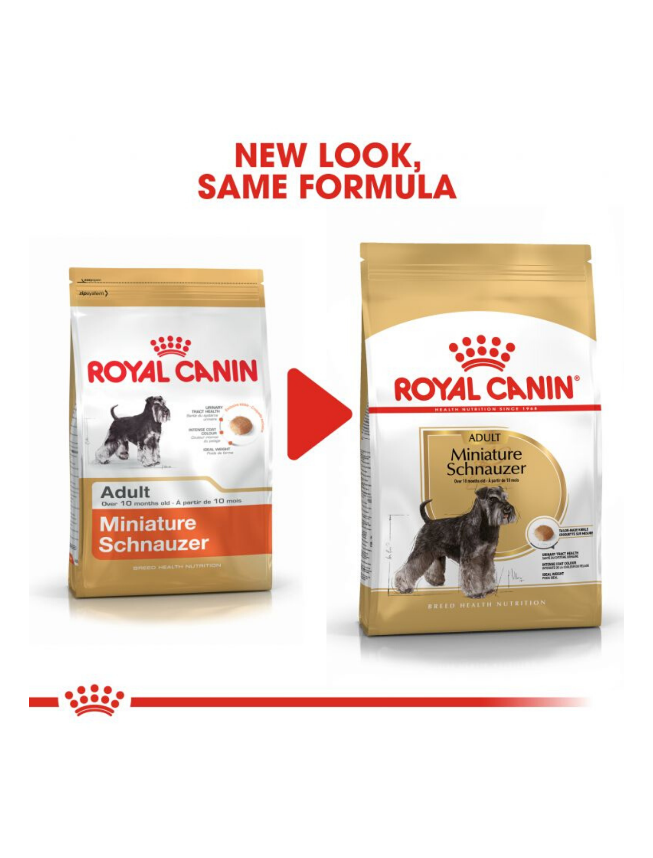 Royal Canin Dog 3kg Adult Miniature Schnauzer Dry Dog Food image 2