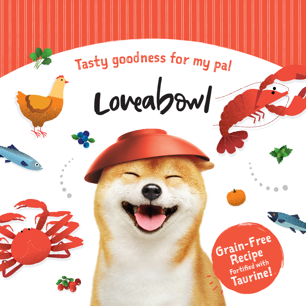 Loveabowl Dog 4.5kg Grain Free Herring & Salmon Dry Dog Food image 4