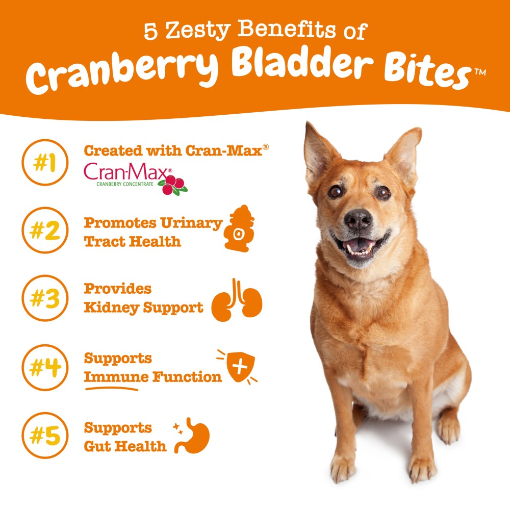Zesty Paws 90ct Cranberry Bladder Bites Supplement for Dogs image 4