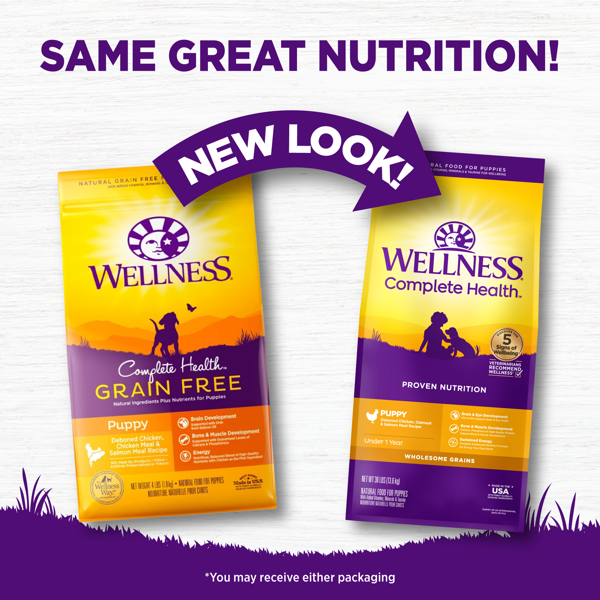 Wellness Complete Health Grain Free 4lb (1.8kg) Puppy Deboned Chicken & Chicken Meal Dry Dog Food image 4