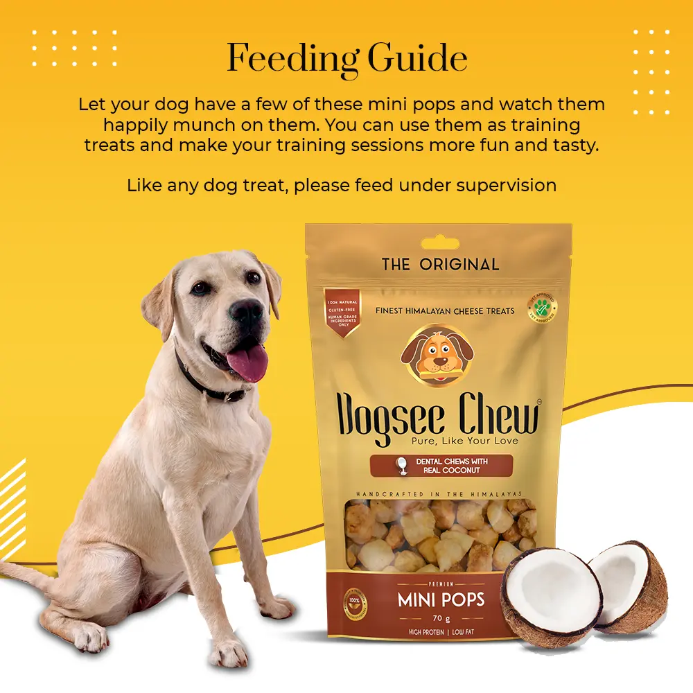 Dogsee Chew Dog 70g Coconut Minipops Dog Treat image 5