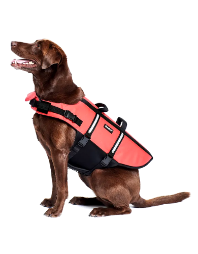 Zippypaws Adventure Life Jacket for Dogs - Red XX Small image 3