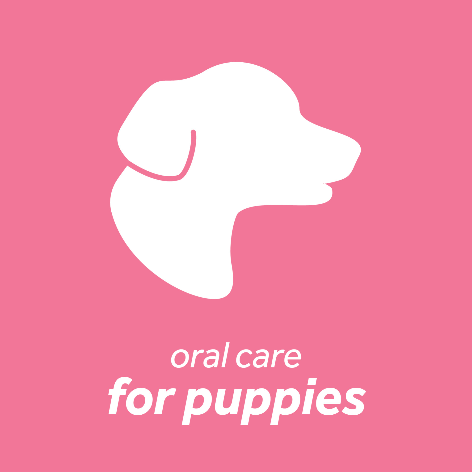 Tropiclean Fresh Breath Puppy Oral Care Clean Teeth Gel 59ml image 3