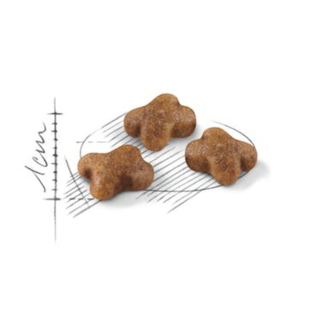 Royal Canin Cat 4kg Kitten Dry Cat Food image 2