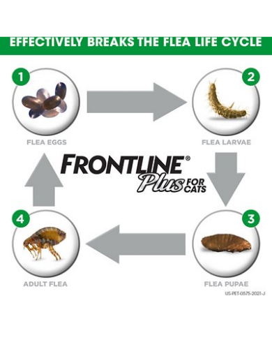 Frontline Plus Cat Spot On 0.50mlx3 Pipette image 4